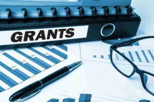 Government Grants and Programs 