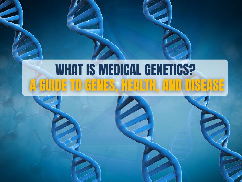 What Is Medical Genetics