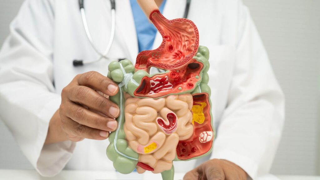 What Is an Gastroenterology
